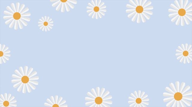 Cute white daisy flowers frame background with copy space on pastel blue.