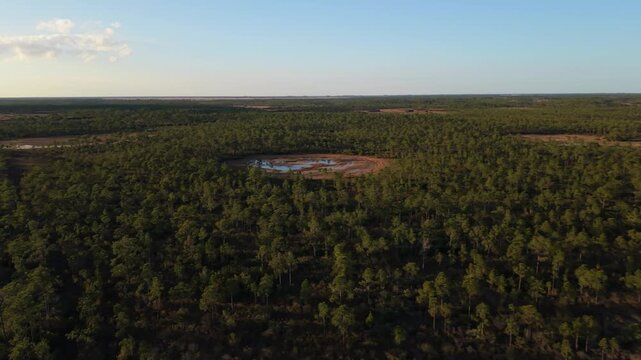 drone flying a circular pattern in the John C. and Mariana Jones Hungryland Wildlife and Environmental Area in Palm Beach and Martin County showing ponds, prairie and canals