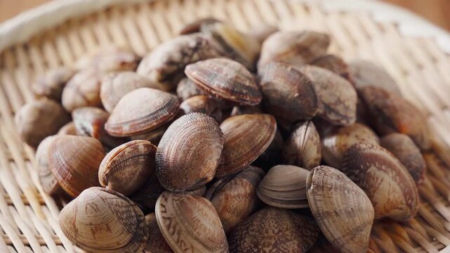 生あさり 竹ざるに盛った旬の貝の食材
