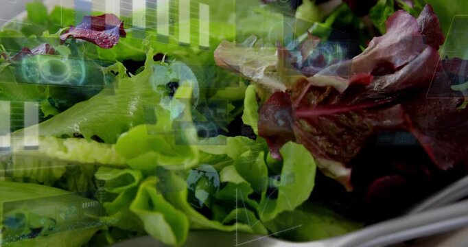 Camera pulling back sparking HUD overlays over salad and utensils showing freshness for food tech