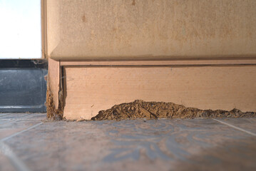 Water Damaged Chipboard Kitchen Cabinet Base Swelling and Crumbling Close-Up | Wet MDF Furniture...