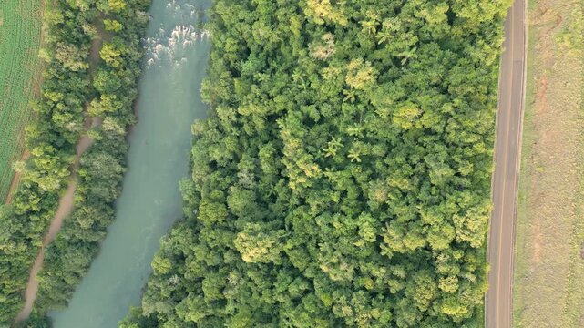 A beautiful river among crops and trees on a sunny day. Drone footage. 