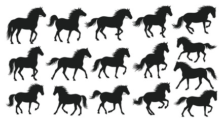 Obraz premium Collection of fifteen black silhouettes of horses in different movement stages like walking, trotting, and galloping.