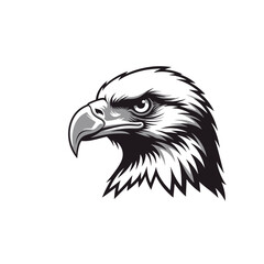 Obraz premium Detailed illustration of an eagle's head in profile view
