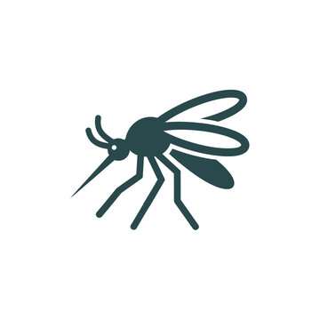 Detailed illustration of a mosquito in flight (1)