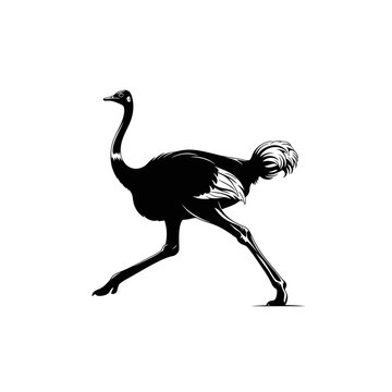 Elegant ostrich running gracefully in a minimalistic style