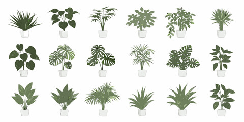 Collection of various potted indoor plants arranged in a grid pattern © John Lee