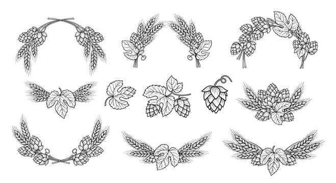 Set of decorative wreaths, borders, and ornaments made of hops, wheat, and barley for beer and bakery designs.