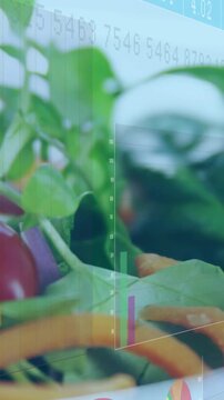 Vertical video: Camera panning, macro showing salad while charts overlaying, showing nutrition data