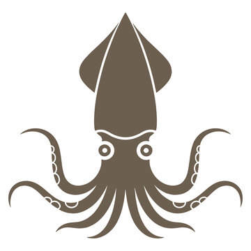 squid