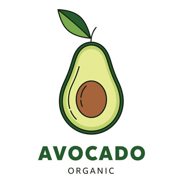 Avocado organic fruit illustration with green skin and brown pit icon