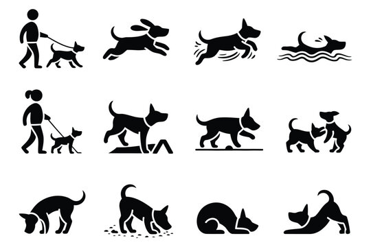 Dog Activities, solid dog icon set including walking, running, fetch, swimming, hiking, agility, catching