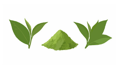 Obraz premium Green Tea Powder Matcha and Leaf Isolated Botanical Vector