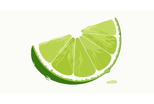 Realistic lime wedge slice vector with detailed pulp and fresh juice isolated on white background