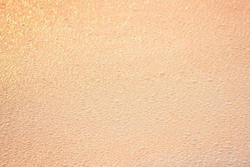 Fototapeta premium Water droplets from morning dew, golden in the sunrise 