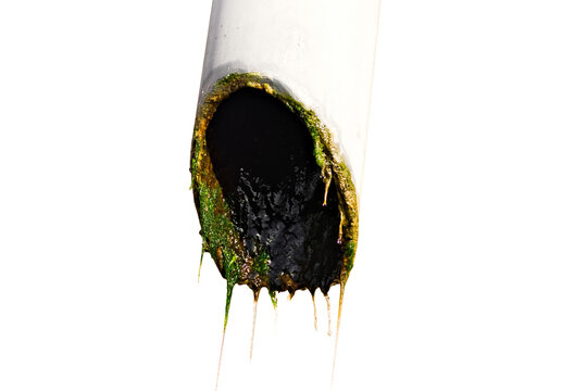 Clogged Drain Pipe With Sludge And Organic Buildup