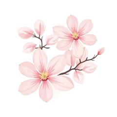 Fototapeta premium Soft Pink Magnolias Branches Blooming