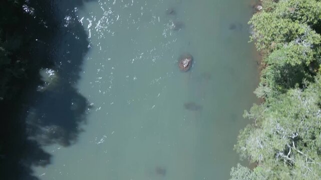 Zenithal drone footage of beautiful blue river among trees on a sunny day. 