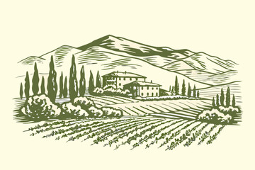 Fototapeta premium A vintage illustration depicts a tuscan farmhouse amidst rolling hills