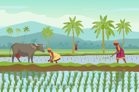 Rural scene depicting farmers working in a flooded rice paddy field
