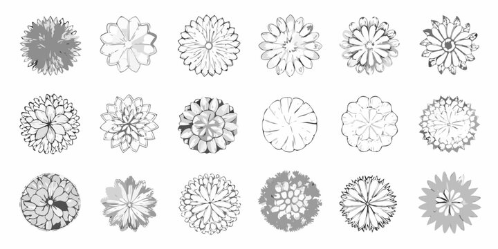 Collection of sketched floral shapes in varying degrees of detail