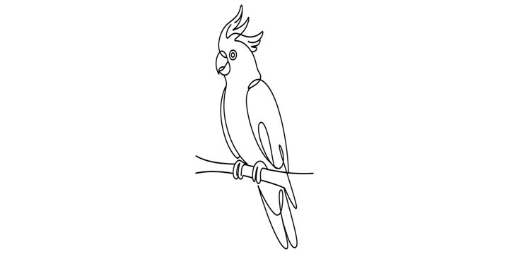 Minimalist continuous line drawing of a majestic cockatoo perched on a simple wooden branch stem. Vector, illustration
