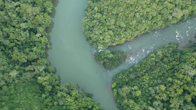 Confluence of rivers in the middle of the forest. Turquoise. Zenithal. 