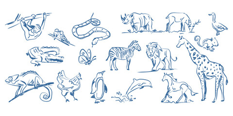 Kid Crayon hand drawn doodle wild animal Set. Lion, giraffe, Zebra elements for print and poster design. © ngupakarti