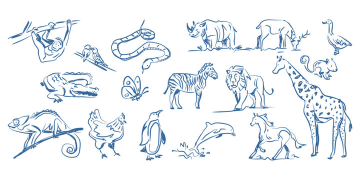 Kid Crayon hand drawn doodle wild animal Set. Lion, giraffe, Zebra elements for print and poster design.