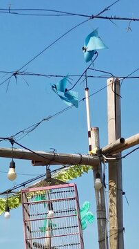 Blue plastic wind spinners attached to wires and bamboo structure under clear sky
