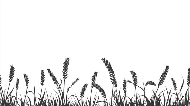 Decorative silhouette border of wheat plants along bottom edge, vector linework showing stalks in natural growth formation on white background