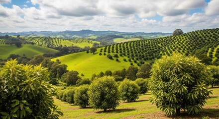 Fototapeta premium Serene Green Hills with Trees and Crops.