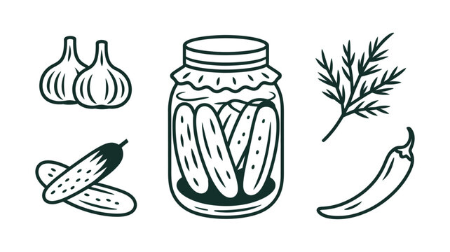 Hand drawn pickled cucumbers in jar, accompanied by garlic, dill, and chili, high quality professional detailed modern culinary vector illustration.