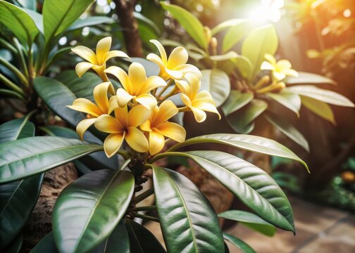Thevetia Peruviana Yellow Flower Blooms Amidst Foliage in Tropical Garden