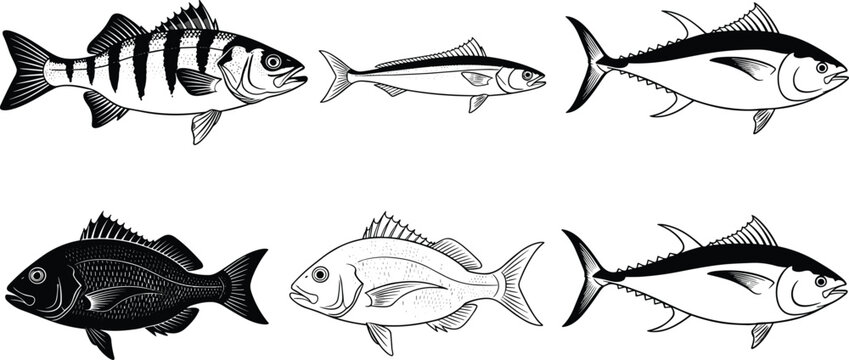 Fish illustration set with different marine species detailed hand drawn sketch style seafood vector collection isolated on white background