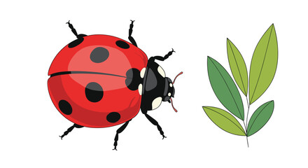 Fototapeta premium Vibrant red ladybug with black spots shown next to green leaves in a cheerful nature and garden themed illustration for education.