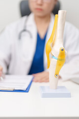 Doctor with Human Knee joint anatomy model. Osteoarthritis, Patellofemoral Pain Syndrome, Patellar Tendinitis, ACL, Anterior Cruciate Ligament, PCL, Posterior, MCL, Medial Collateral, LCL and Lateral