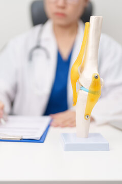 Doctor with Human Knee joint anatomy model. Osteoarthritis, Patellofemoral Pain Syndrome, Patellar Tendinitis, ACL, Anterior Cruciate Ligament, PCL, Posterior, MCL, Medial Collateral, LCL and Lateral