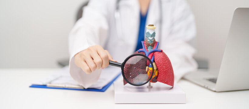 Doctor with Smoker Lung anatomy with magnifying glass. Lung Cancer, Asthma, Chronic Obstructive Pulmonary or COPD, Bronchitis, Emphysema, Cystic Fibrosis, Bronchiectasis, Pneumonia and world Lung day