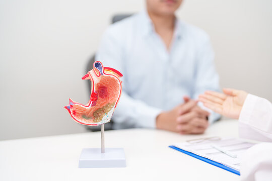 Doctor with Gastric anatomy model. Gastroenterologist consultation, stomach diseases and ulcers, November stomach cancer, Gastroesophageal Reflux Disease, GERD, Acid reflux and healthcare medical