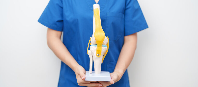 Doctor with Human Knee joint anatomy model. Osteoarthritis, Patellofemoral Pain Syndrome, Patellar Tendinitis, ACL, Anterior Cruciate Ligament, PCL, Posterior, MCL, Medial Collateral, LCL and Lateral