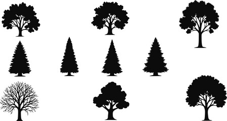 Collection of black tree silhouettes, including deciduous trees and coniferous pine trees © Firoj