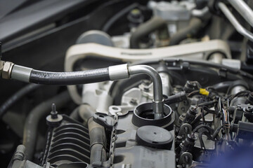 Fototapeta premium Close Up View of Engine Coolant Filling Hose