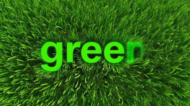 The word green is displayed in bold letters on a vibrant field of lush grass