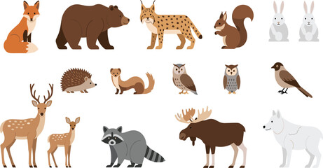 Fototapeta premium Forest Wild Animals Vector Illustration Set Featuring Fox, Bear, Lynx, Deer, Moose, Raccoon, Owl and Woodland Wildlife Character Collection Design.
