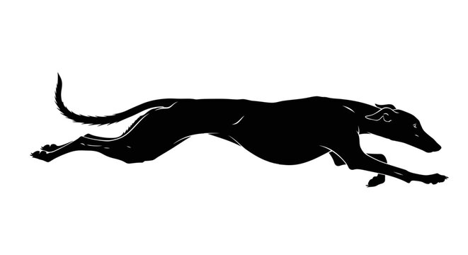 Black silhouette of a running dog.