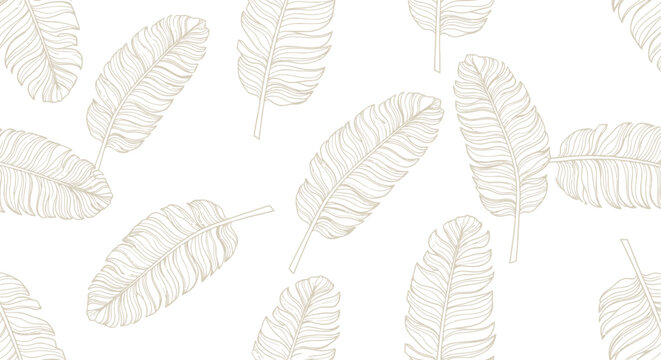Collection of white feather illustrations.