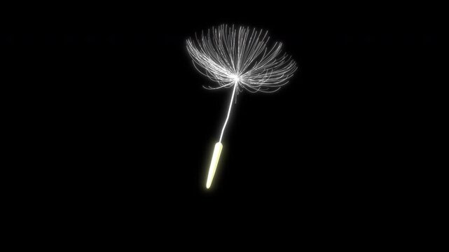 たんぽぽ Images – Browse 11,740 Stock Photos, Vectors, and Video