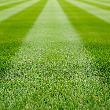 Meticulously mowed baseball grass lines creating striking striped patterns on a vibrant green sports field.