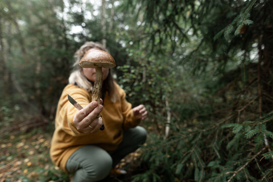 Mushroom foraging in autumn forest promoting sustainable lifestyle